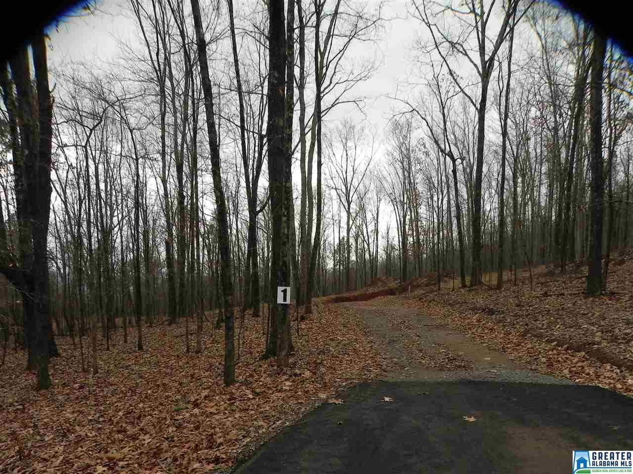 0 SPRINGSTONE TRL, Leeds, AL 35094