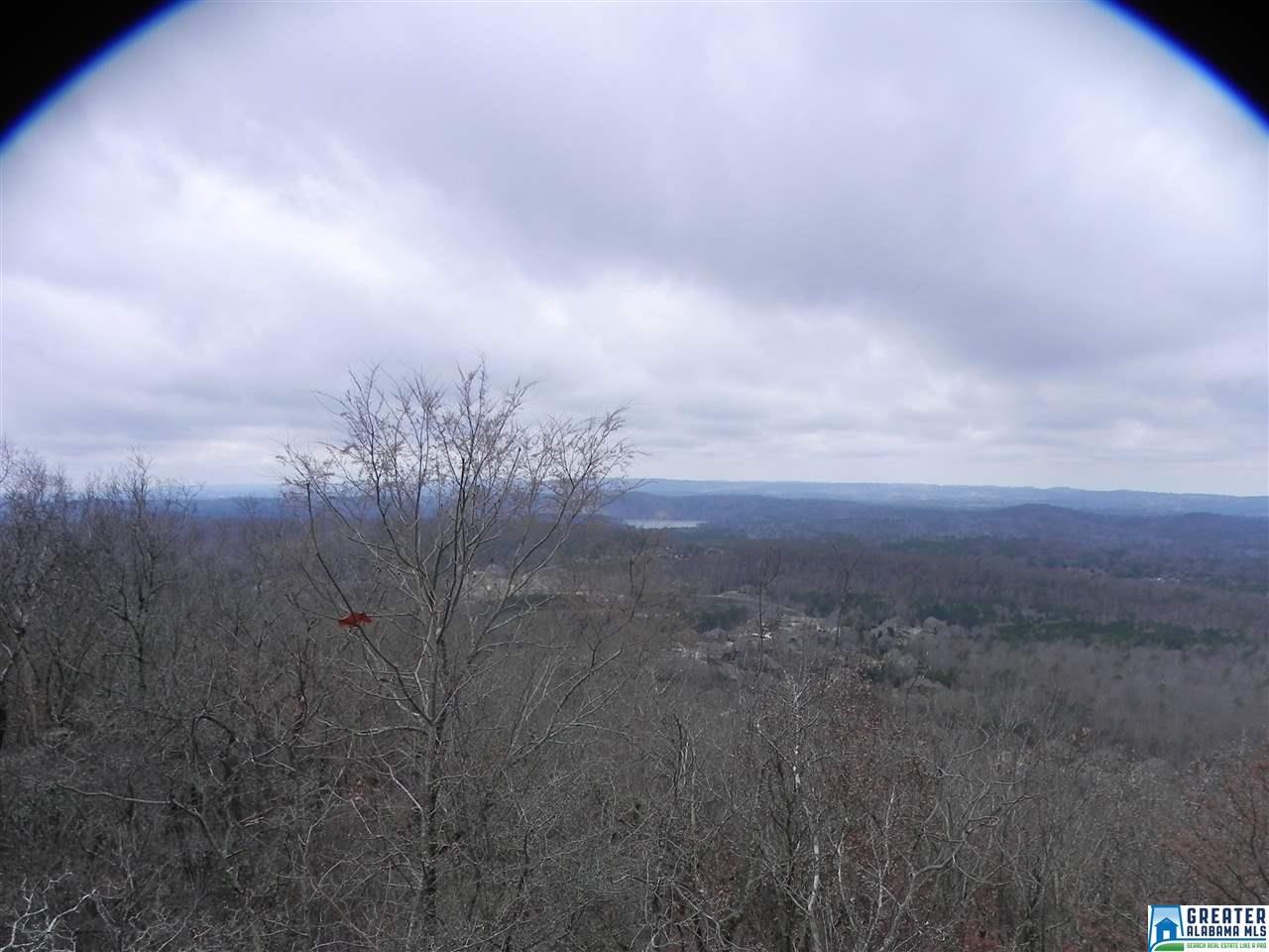 0 SPRINGSTONE TRL, Leeds, AL 35094