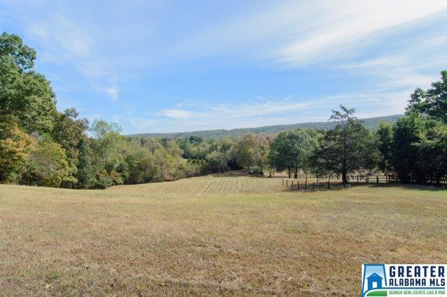 100 FOSTER RD, Leeds, AL 35094