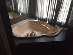 110 WILD IVY LN ,AL, Maylene, 35114
