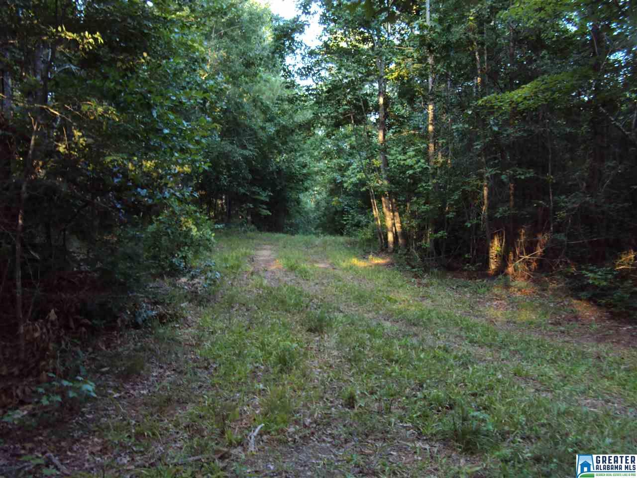 HWY 174, Odenville, AL 35120