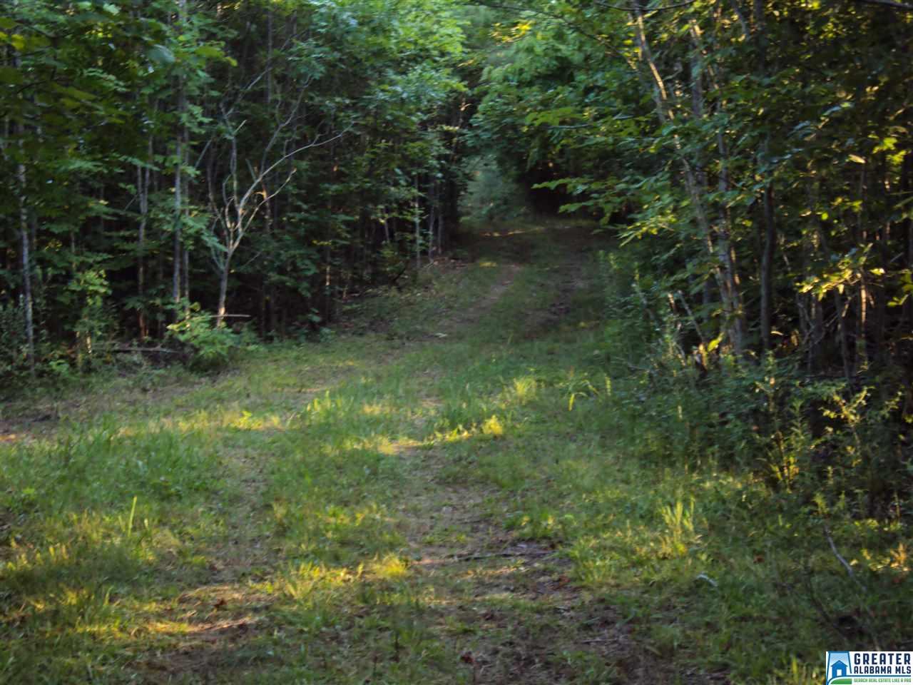 HWY 174, Odenville, AL 35120