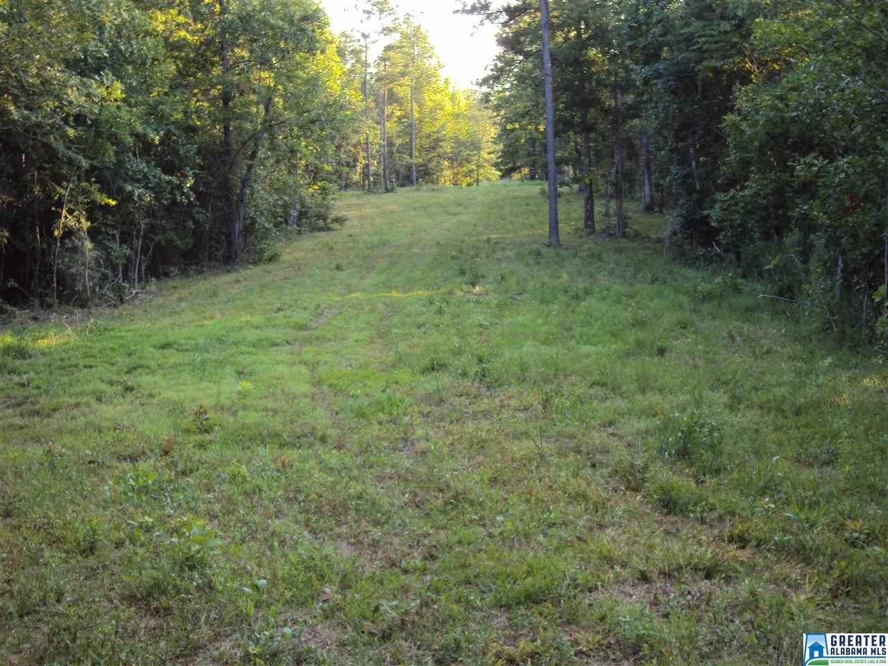 HWY 174, Odenville, AL 35120