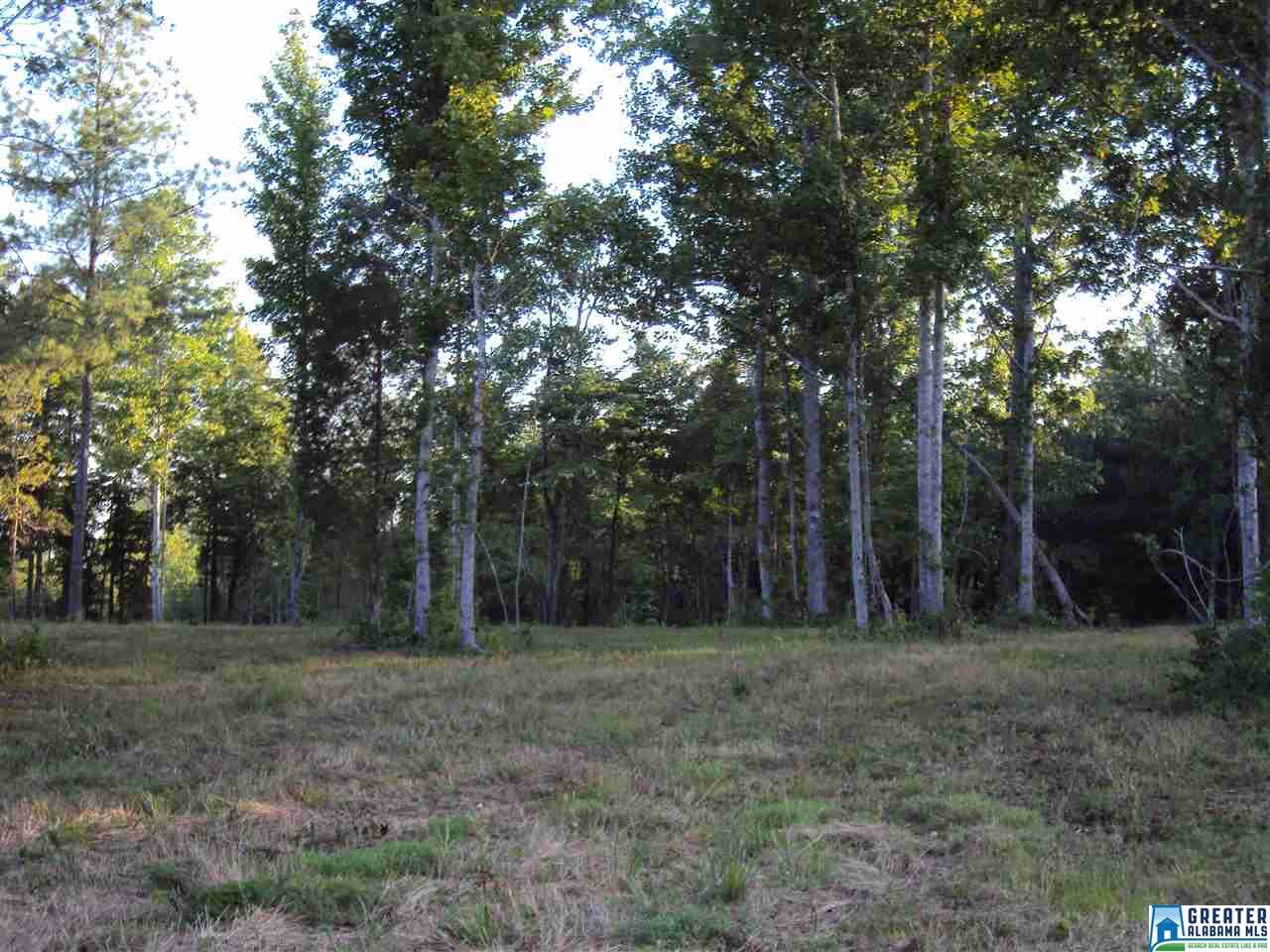 HWY 174, Odenville, AL 35120