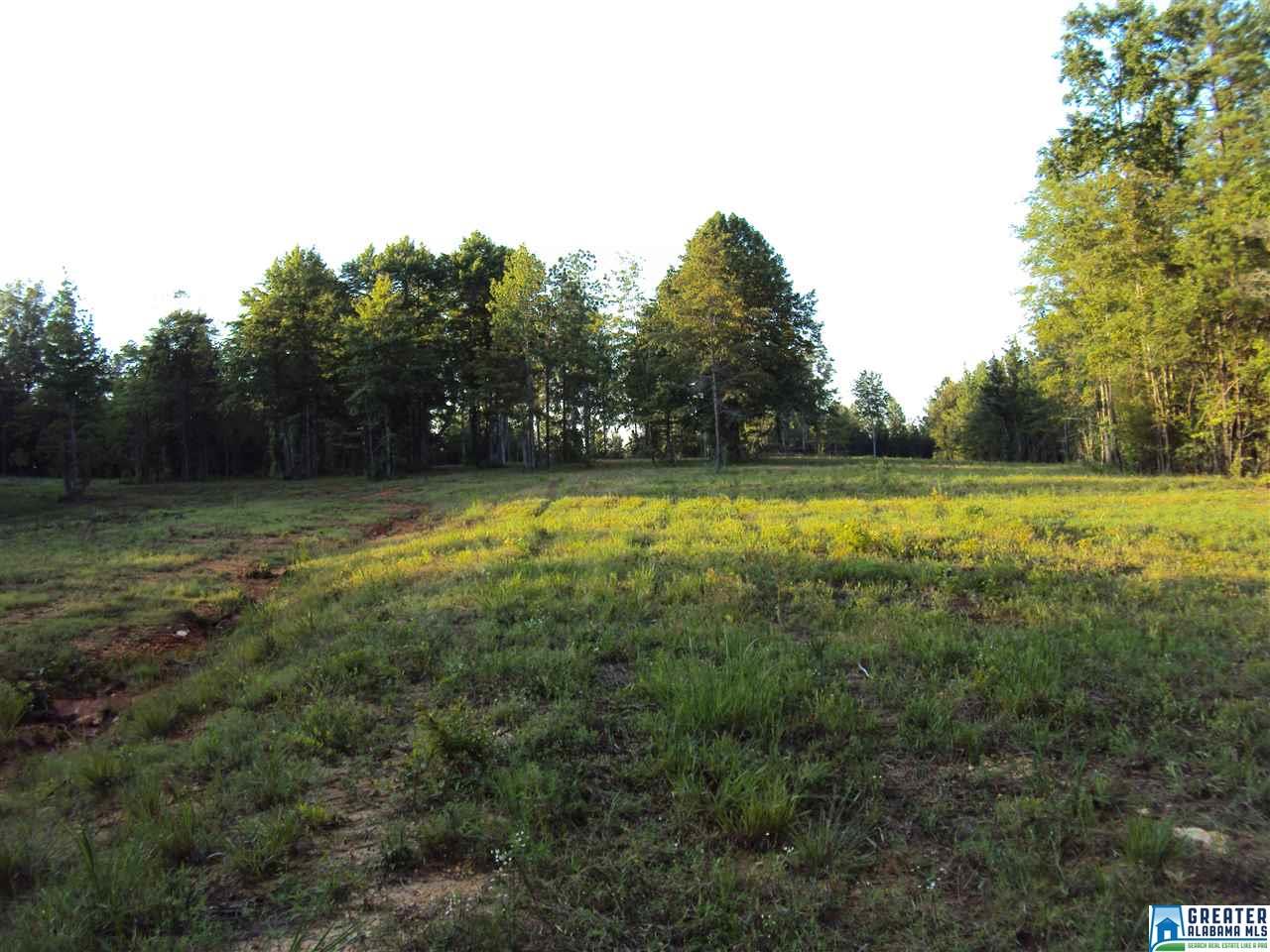 HWY 174, Odenville, AL 35120