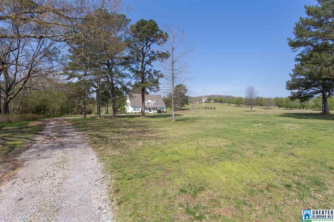 411Shadow Bend Dr, Odenville, AL 35120