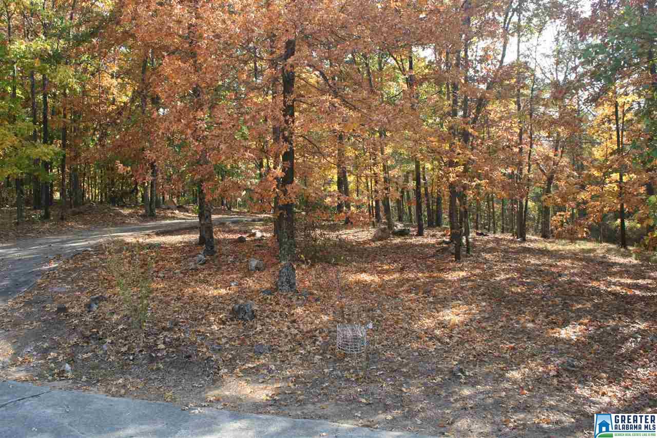 2815 INDIAN CREST DR, Pelham, AL 35124