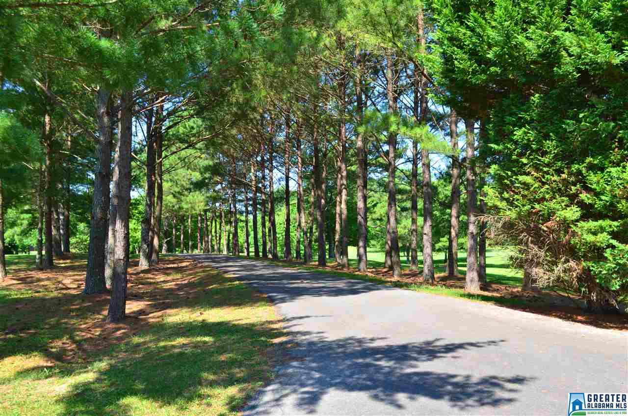 2930 CAHABA VALLEY RD, Indian Springs Village, AL 35124