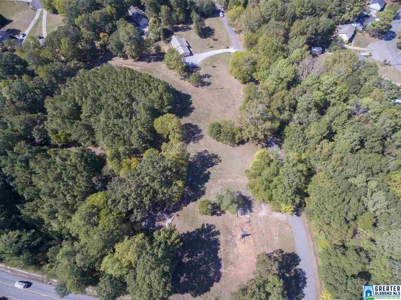 31 MCGUIRE RD, Indian Springs Village, AL 35124