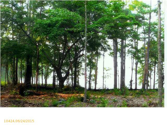 767 LAKEVIEW CREST DR, Pell City, AL 35128