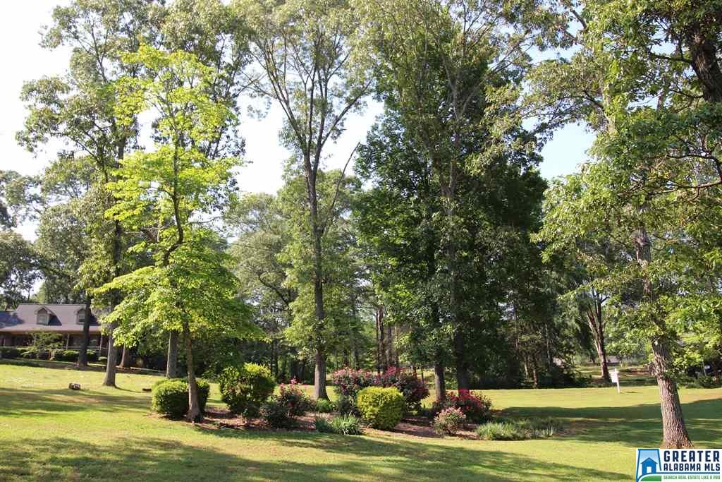 7110 SKYLINE DR, Pell City, AL 35128
