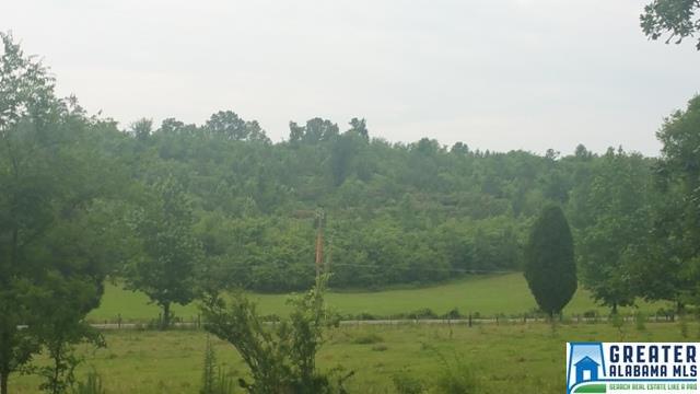 7725Hwy 144, Ragland, AL 35131