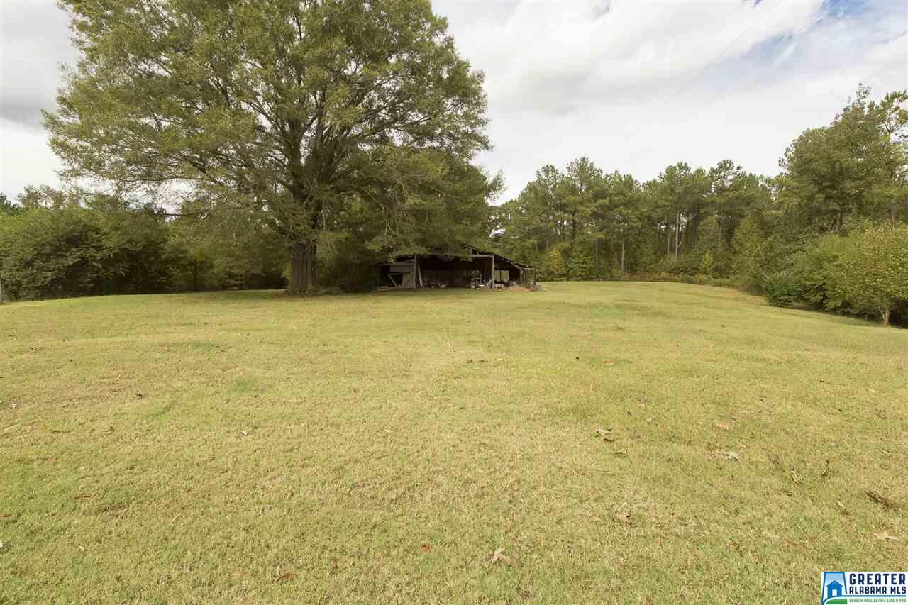 4525 SPUNKY HOLLOW RD, Remlap, AL 35133