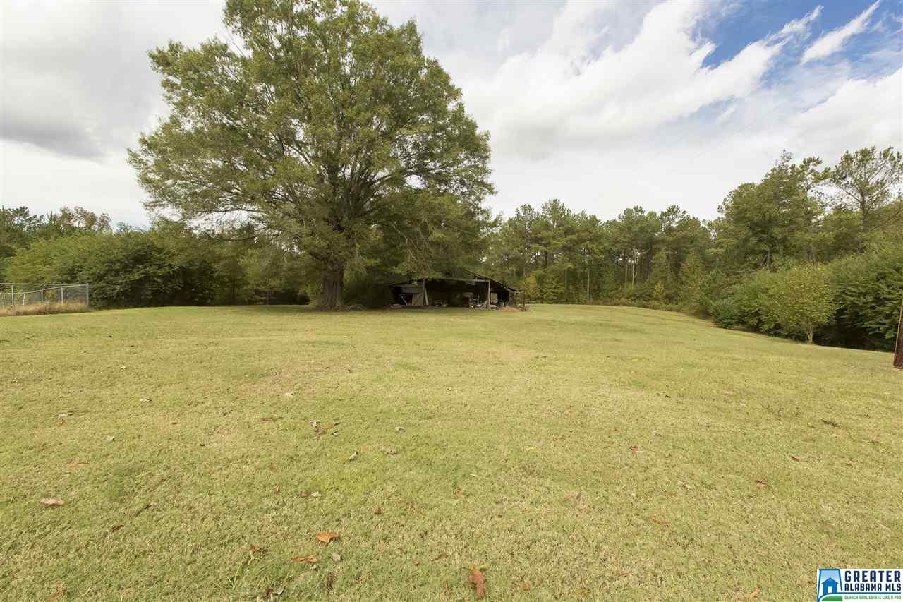 4525 SPUNKY HOLLOW RD, Remlap, AL 35133