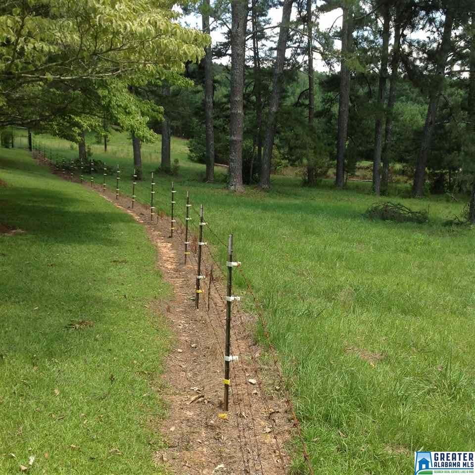 1649Hwy 174, Springville, AL 35146