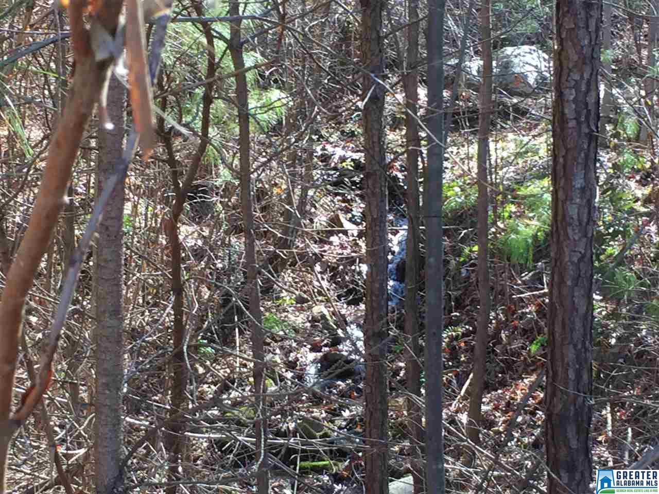 4008 FOREST LAKES RD, Sterrett, AL 35147