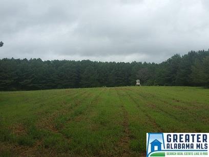 COLEMAN RD, Sylacauga, AL 35150