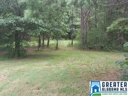 COLEMAN RD, Sylacauga, AL 35150