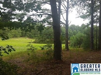 COLEMAN RD, Sylacauga, AL 35150