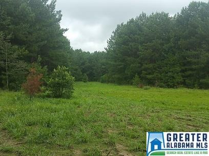 COLEMAN RD, Sylacauga, AL 35150