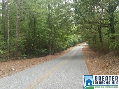 COLEMAN RD, Sylacauga, AL 35150