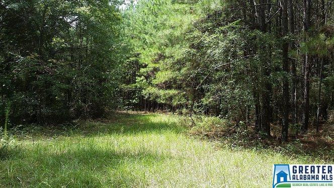 COLEMAN RD, Sylacauga, AL 35150