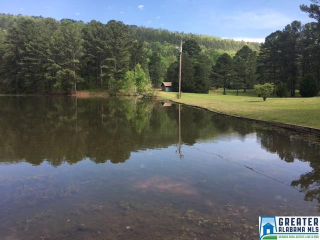 747 HWY 480, Vandiver, AL 35176