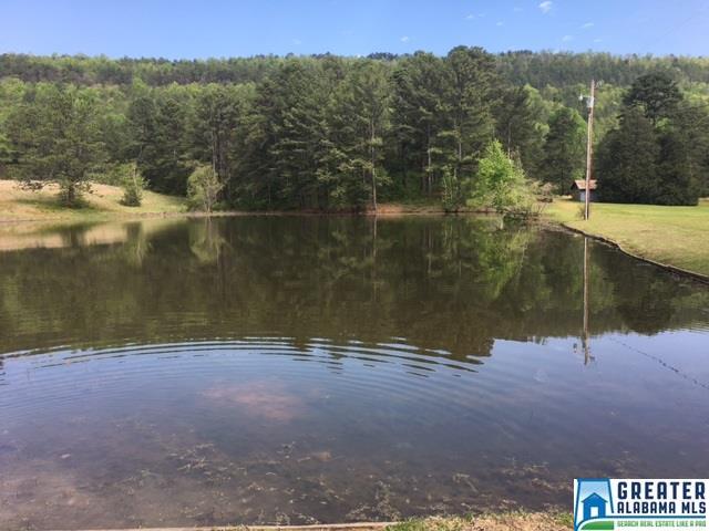 747 HWY 480, Vandiver, AL 35176