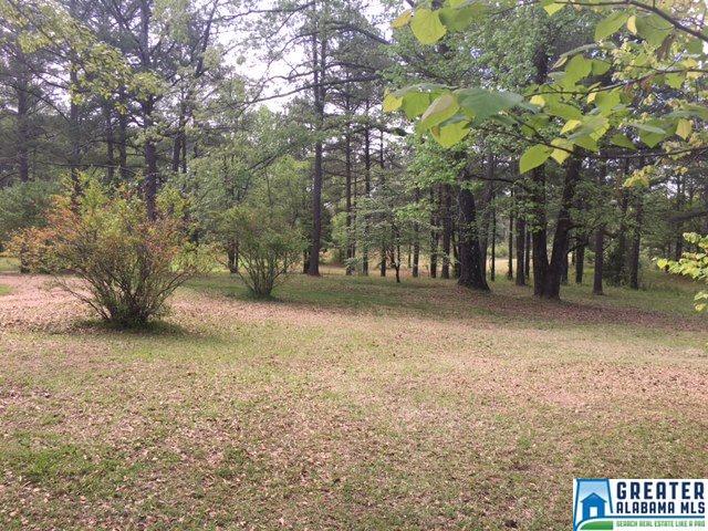 747 HWY 480, Vandiver, AL 35176