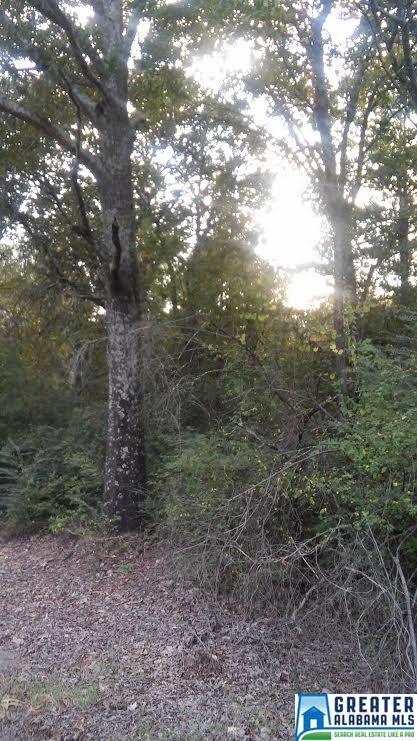 2845 CORNER RD, Warrior, AL 35180