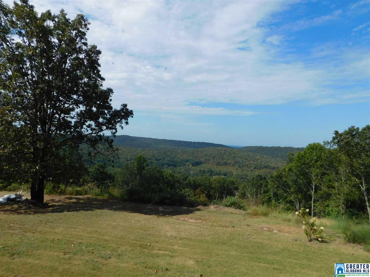 355 GRANDVIEW TRL, Warrior, AL 35180