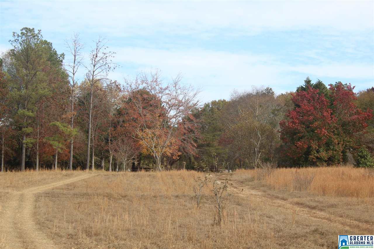 0 SIMPSON RD, Wilsonville, AL 35186