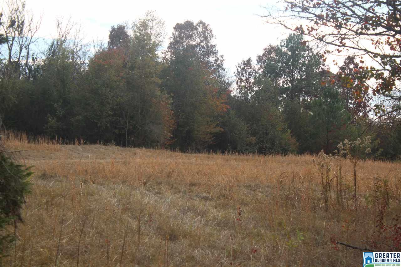 0 SIMPSON RD, Wilsonville, AL 35186