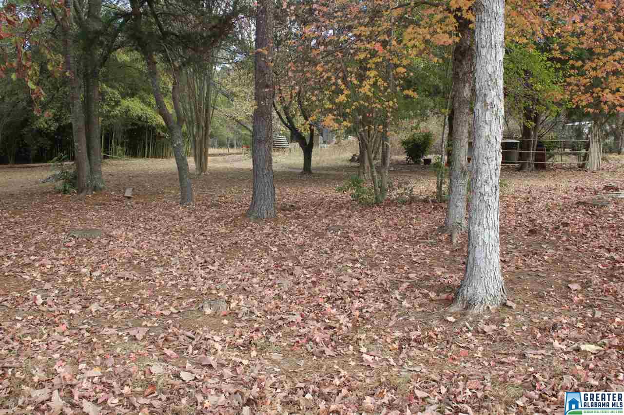 0 SIMPSON RD, Wilsonville, AL 35186