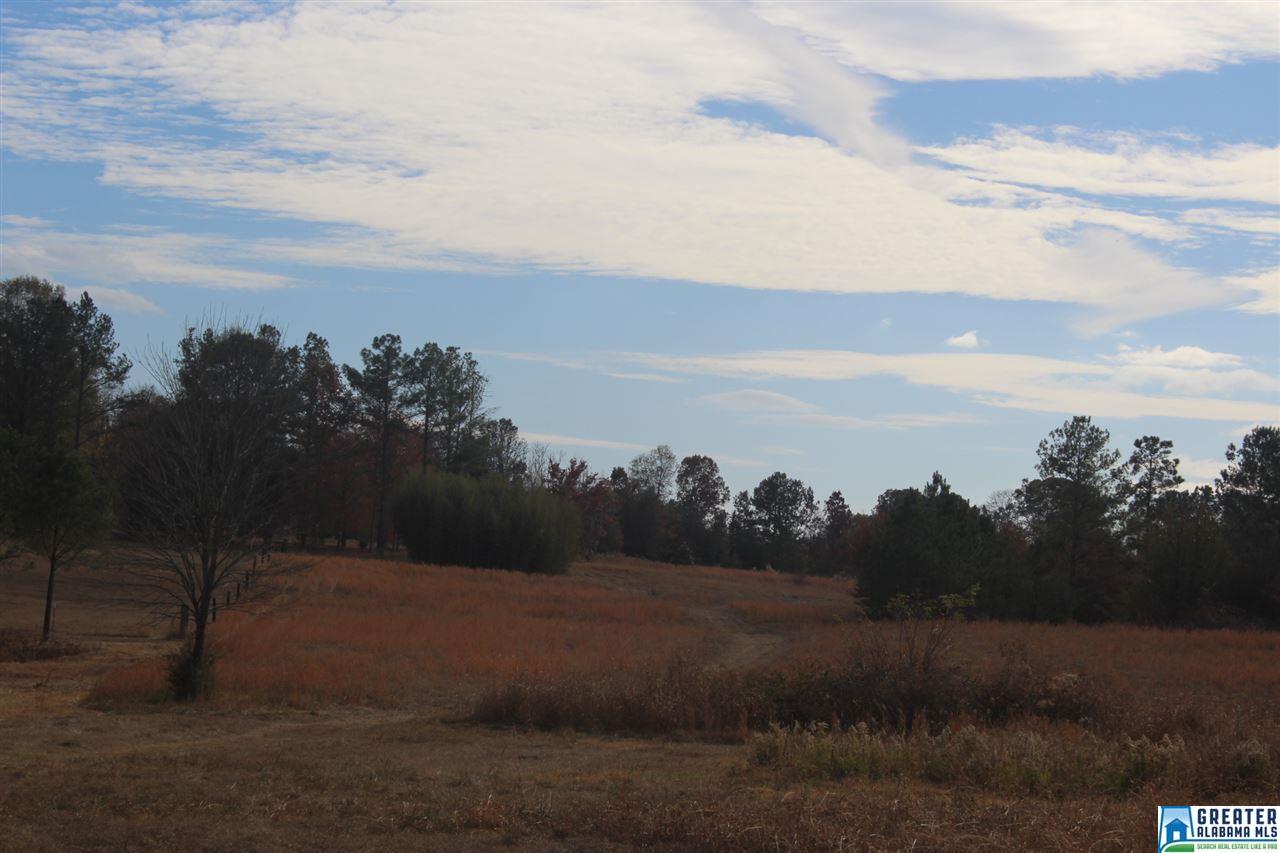0 SIMPSON RD, Wilsonville, AL 35186