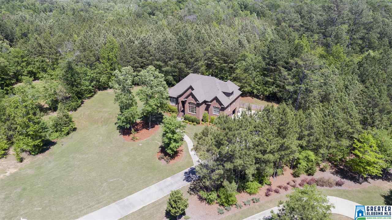 313 CREEKSIDE COVE, Chelsea, AL 35186