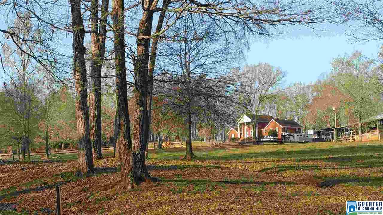 165 EDWARDS LN, Wilsonville, AL 35186