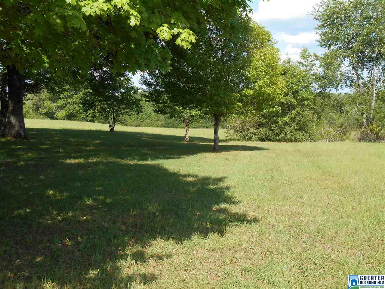 60 ROBERTSON RD, Wilsonville, AL 35186