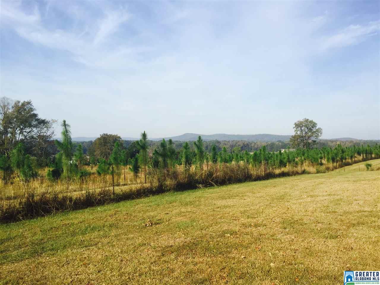 152 CERRITO PL, Wilsonville, AL 35186