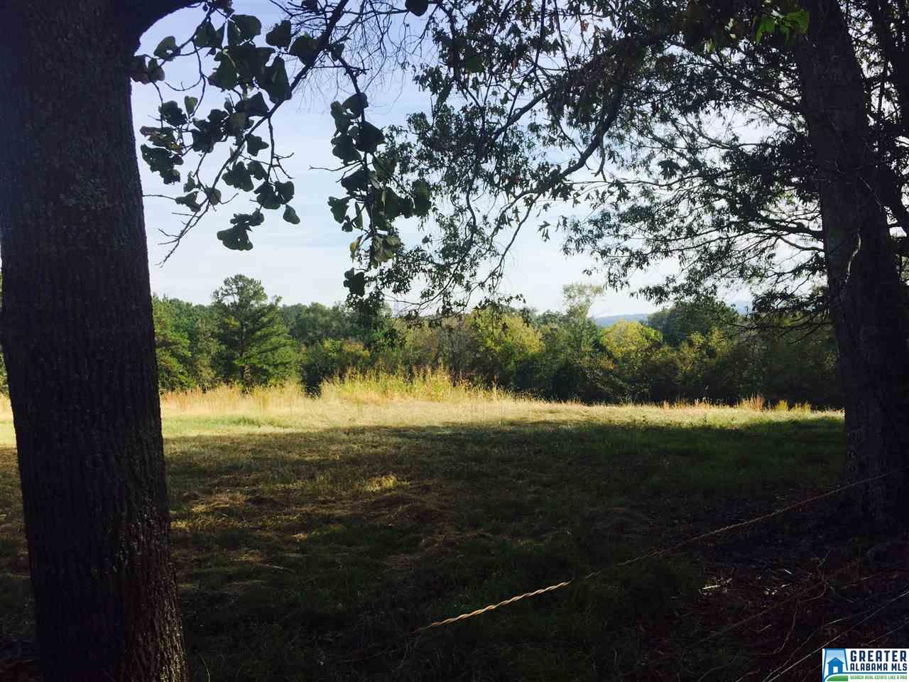 152 CERRITO PL, Wilsonville, AL 35186