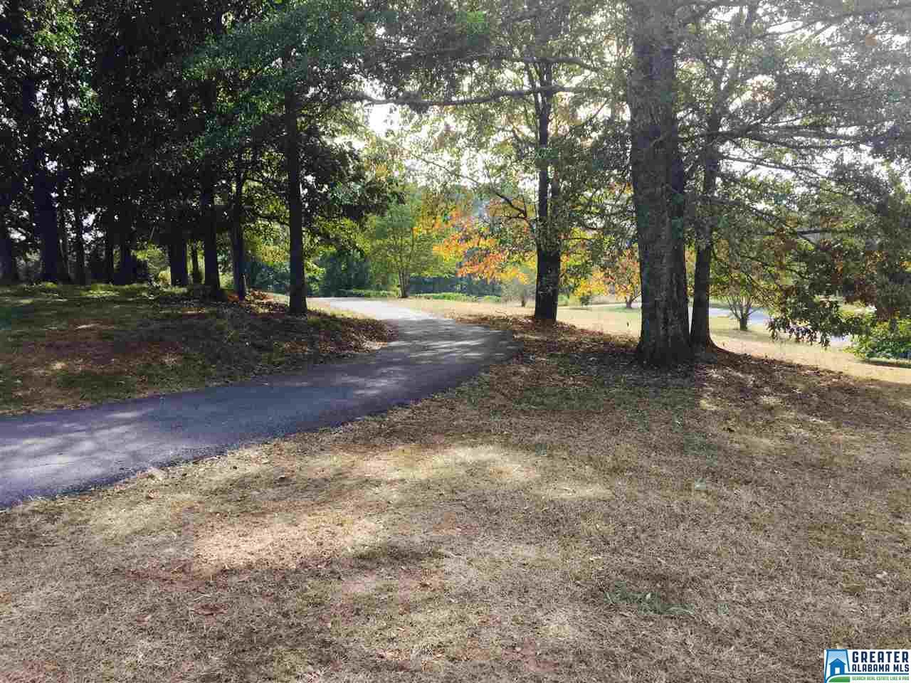 152 CERRITO PL, Wilsonville, AL 35186