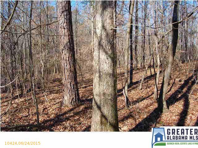 HWY 5, Woodstock, AL 35188