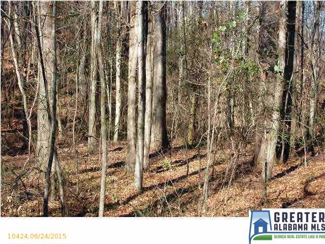 HWY 5, Woodstock, AL 35188