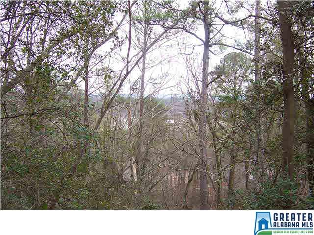 1419 PANORAMA DR, Vestavia Hills, AL 35216