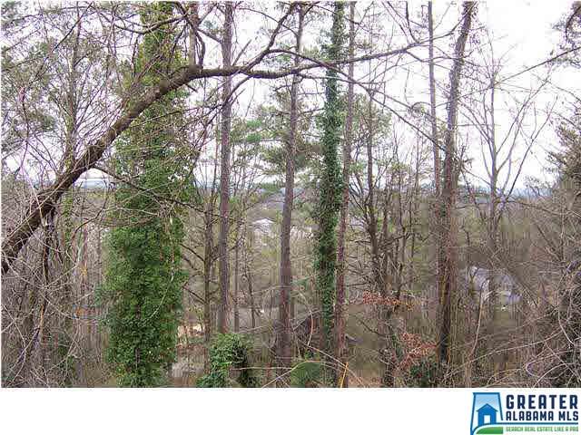 1419 PANORAMA DR, Vestavia Hills, AL 35216
