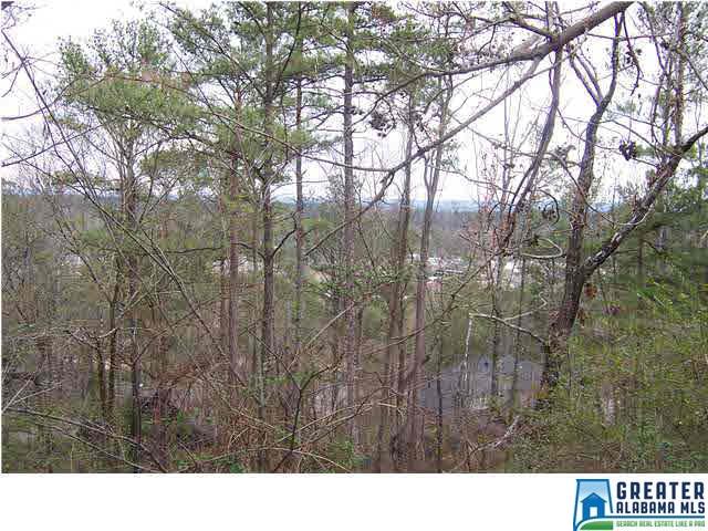 1419 PANORAMA DR, Vestavia Hills, AL 35216