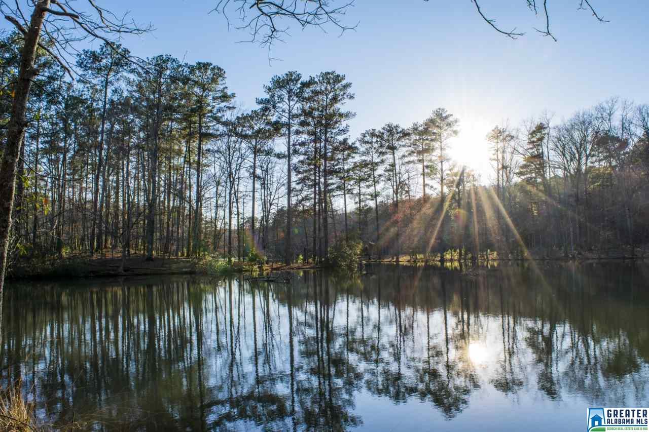 250 KINZEL LN, Hoover, AL 35242
