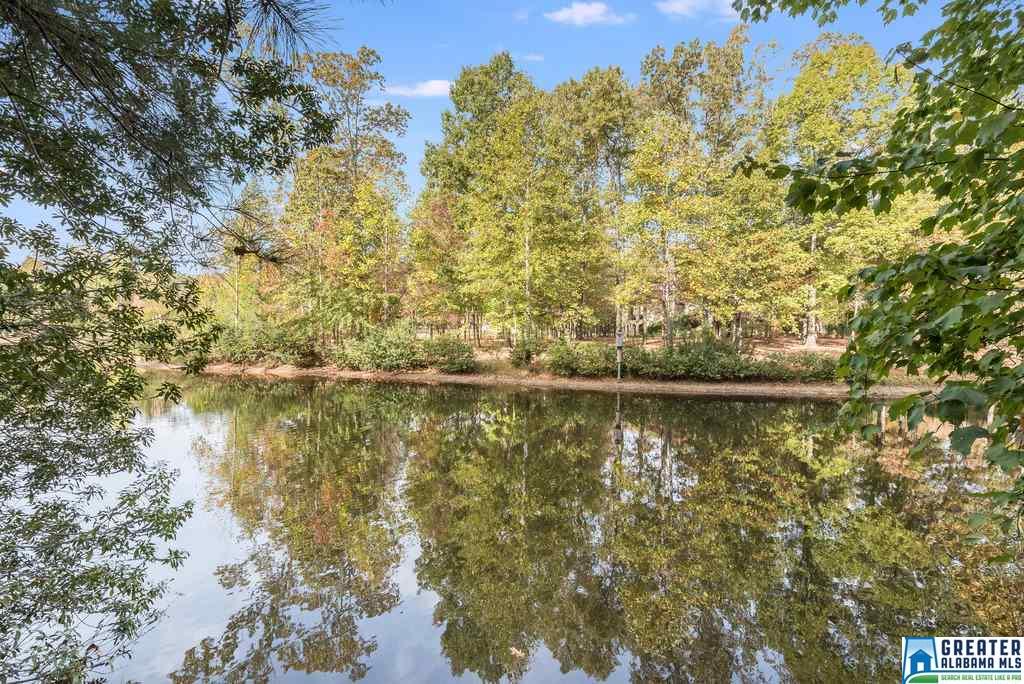 1317 COVE LAKE CIR, Hoover, AL 35242