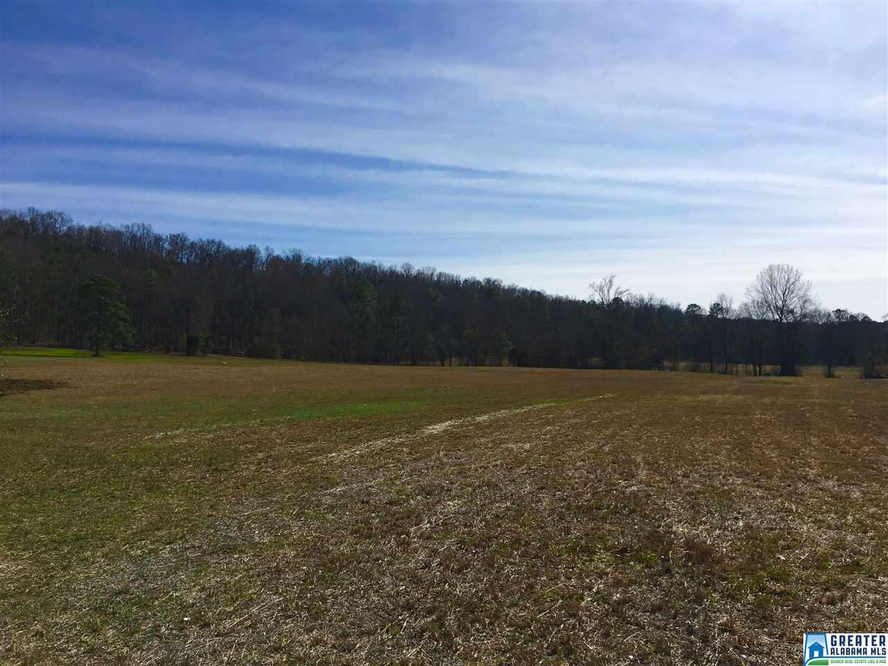205 BRIDGE DR, Birmingham, AL 35242