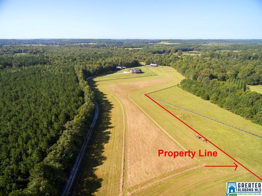 10863 TRION LN, Vance, AL 35490